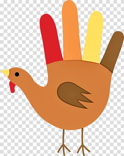 Feather, Bird, Beak, Chicken, Hand, Finger, Wing, Turkey transparent background PNG clipart