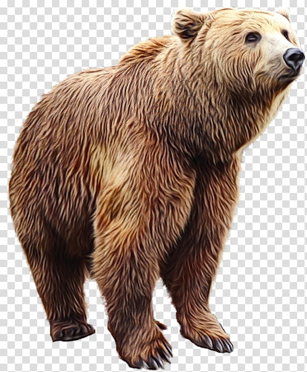 Teddy Bear, Alaska Peninsula Brown Bear, Grizzly Bear, Grizzly Bears, Bear Attack, East Siberian Brown Bear, Brown Teddy Bear, Animal Figure transparent background PNG clipart