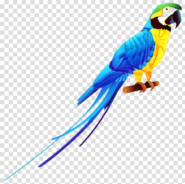 Bird Parrot, Budgerigar, Parrots, Scarlet Macaw, Hyacinth Macaw, Parakeet, Beak, Redandgreen Macaw transparent background PNG clipart