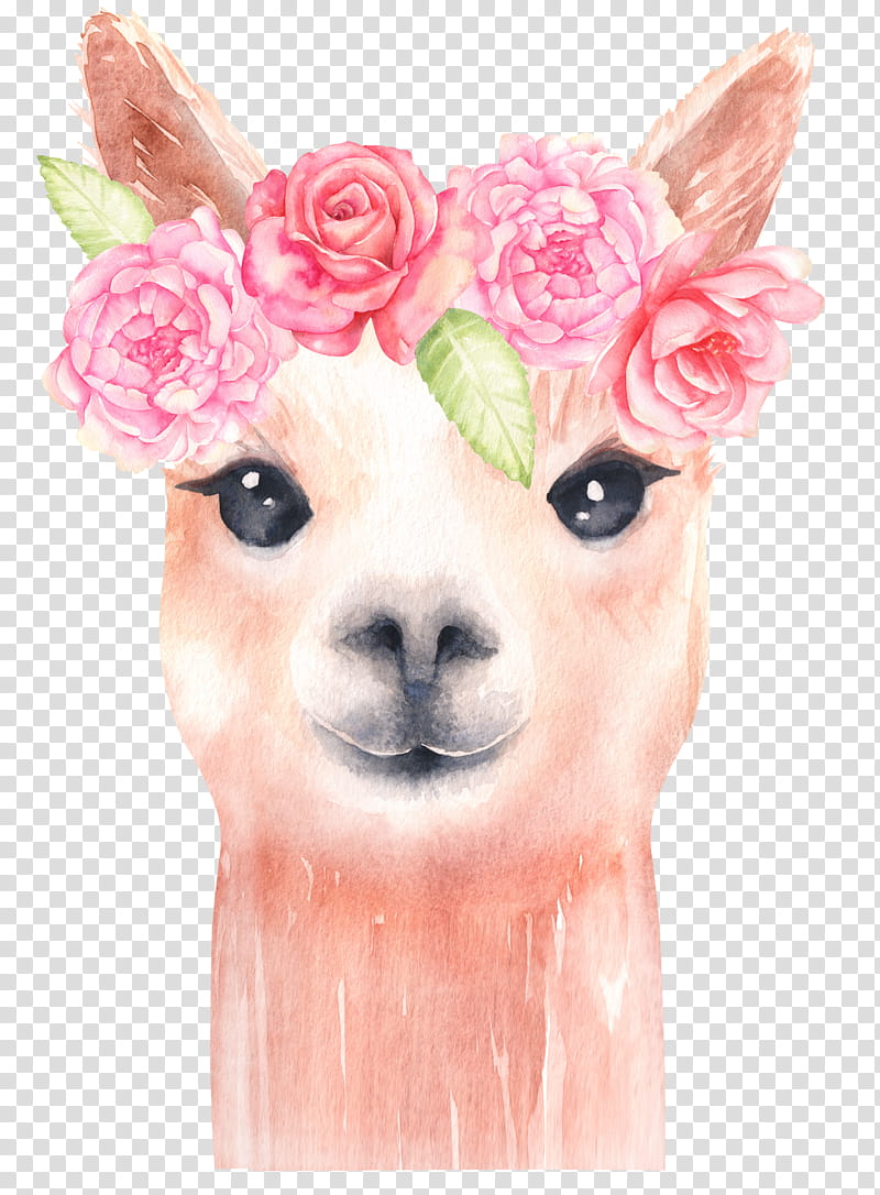 Watercolor Flower, Llama, Alpaca, Watercolor Painting, Drawing, Art Museum, Pink, Camel Like Mammal transparent background PNG clipart