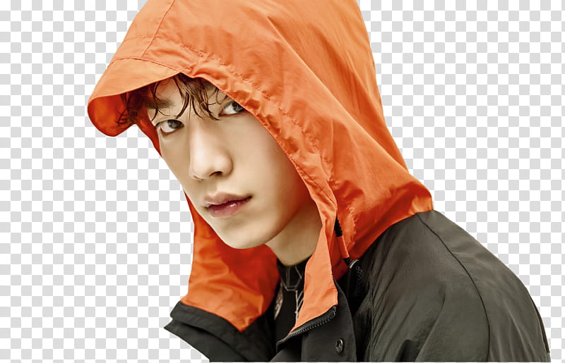 Seo Kang Joon transparent background PNG clipart