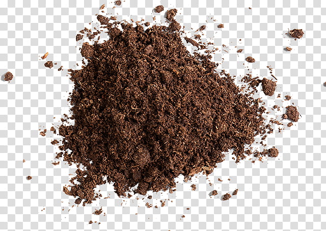 brown soil plant cocoa solids transparent background PNG clipart