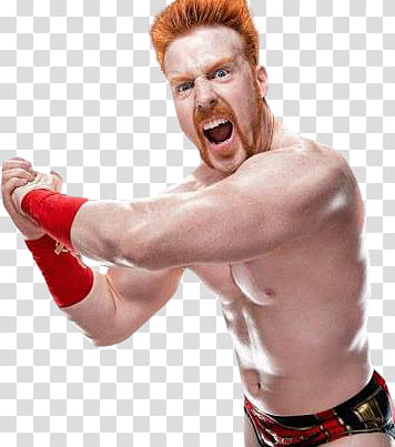 Sheamus AAAAAAH transparent background PNG clipart