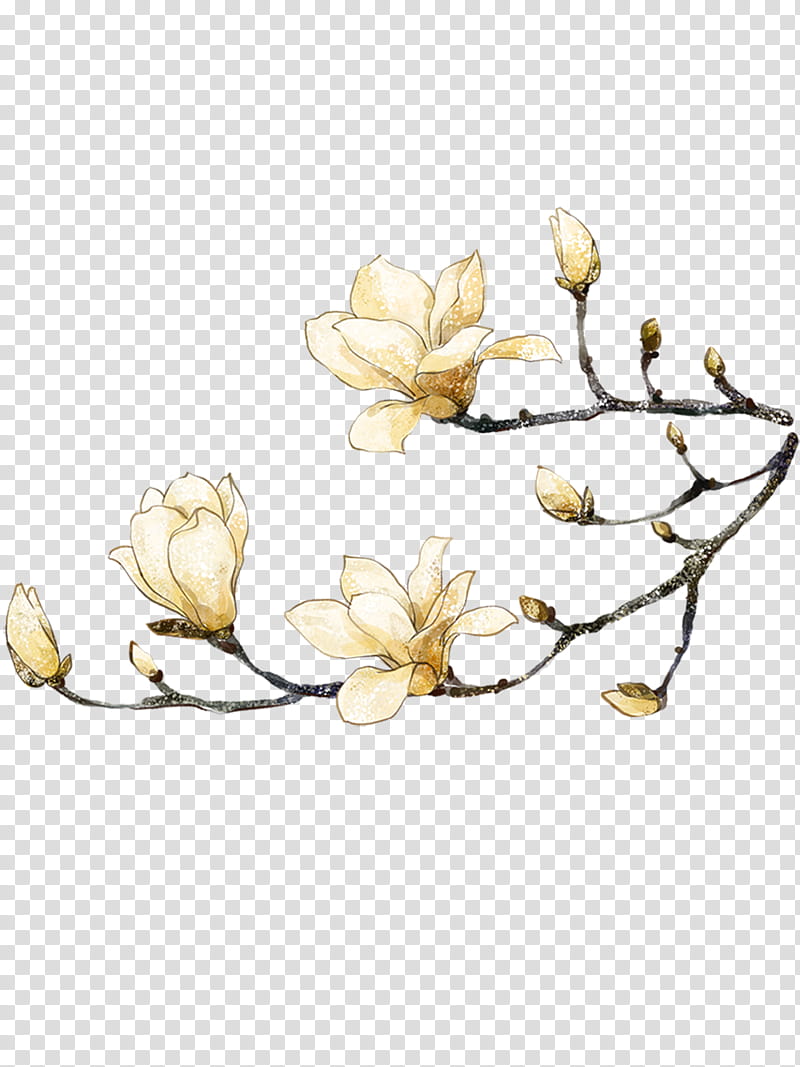 Flowers, Yulan Magnolia, Watercolor Painting, Southern Magnolia, Plant, Branch, Twig, Petal transparent background PNG clipart