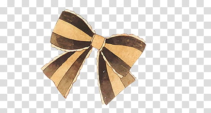 Bows , brown ribbon transparent background PNG clipart