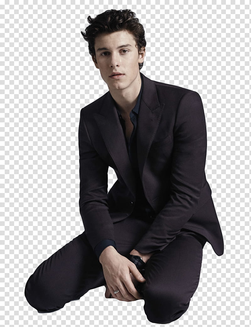 K WATCHERS , Shawn Mendez transparent background PNG clipart