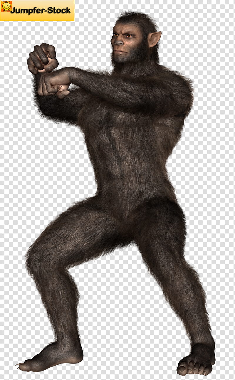 Beastman , black monkey illustration transparent background PNG clipart