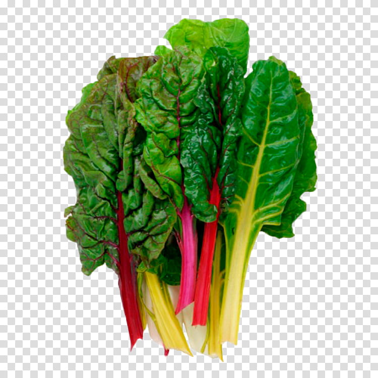 Spring, Chard, Greens, Beetroots, Cooking, Recipe, Spinach, Food transparent background PNG clipart