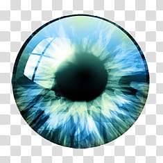 Iris, blue iris transparent background PNG clipart