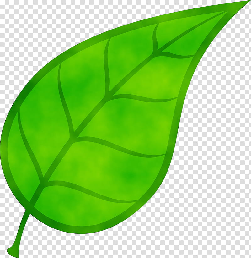 Green Leaf, Cosmogenic Nuclide, Stable Nuclide, Stoma, Basalt, Isotope, Density, Ty Lee transparent background PNG clipart