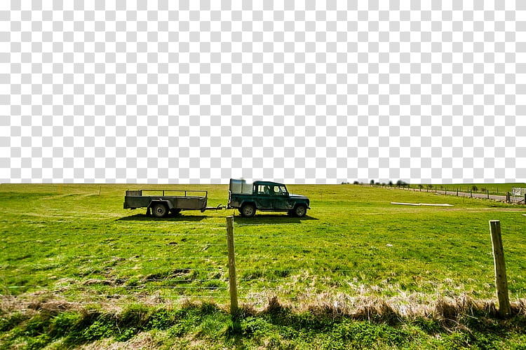 grassland pasture field natural environment land lot, Farm, Natural Landscape, Prairie, Meadow transparent background PNG clipart