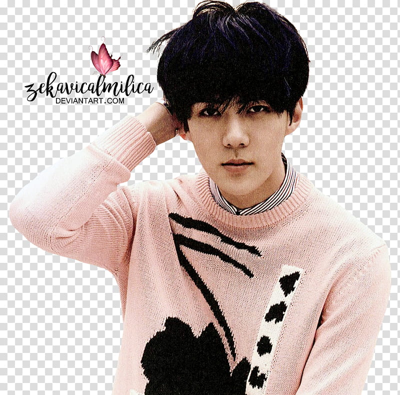 EXO Sehun Love Me Right, men in pink and black sweater holding his head transparent background PNG clipart