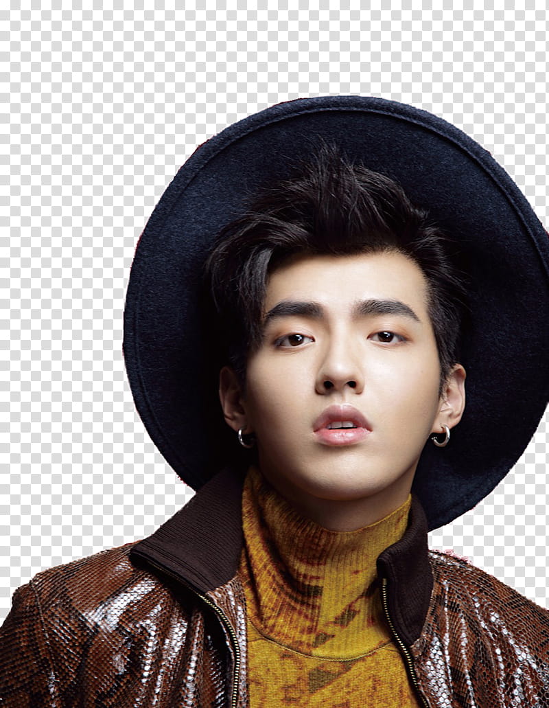 Kris Wu Exo Icon - Kris Exo No Background Transparent PNG - 1024x867 - Free  Download on NicePNG