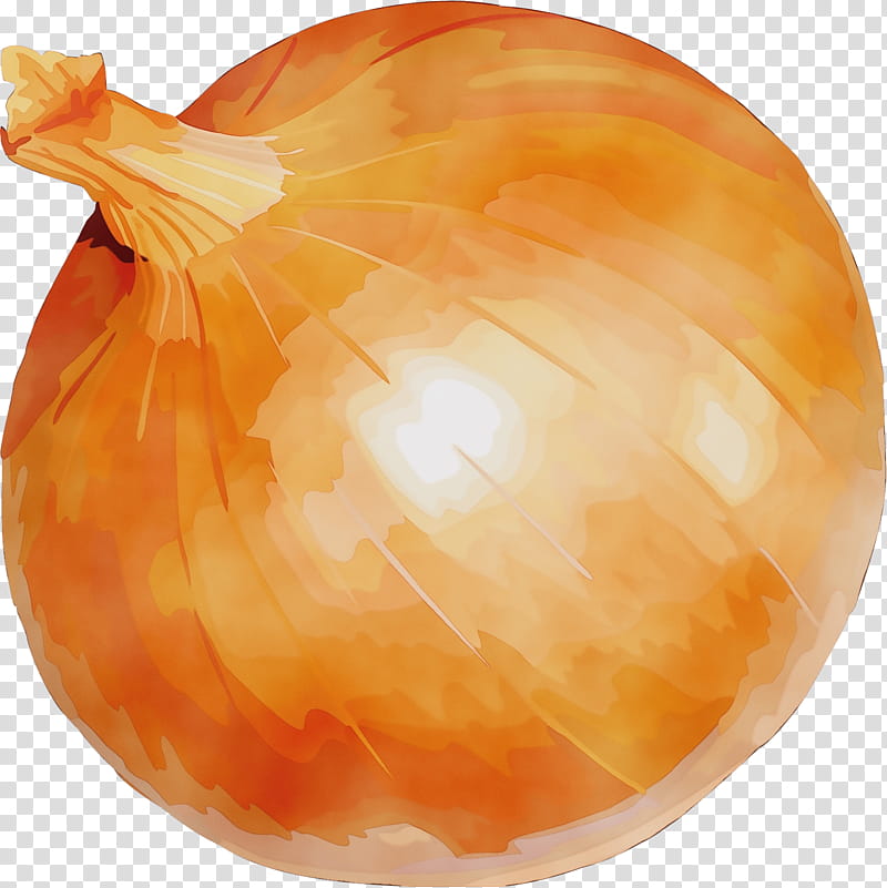 Orange, Watercolor, Paint, Wet Ink, Yellow Onion, Vegetable, Food, Allium transparent background PNG clipart