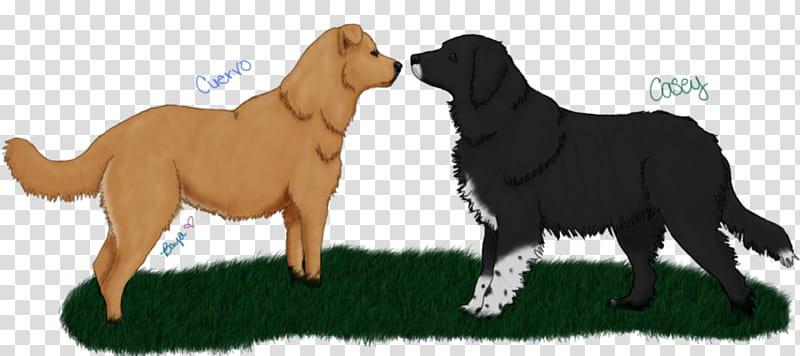 In Memory of Cuervo and Casey transparent background PNG clipart