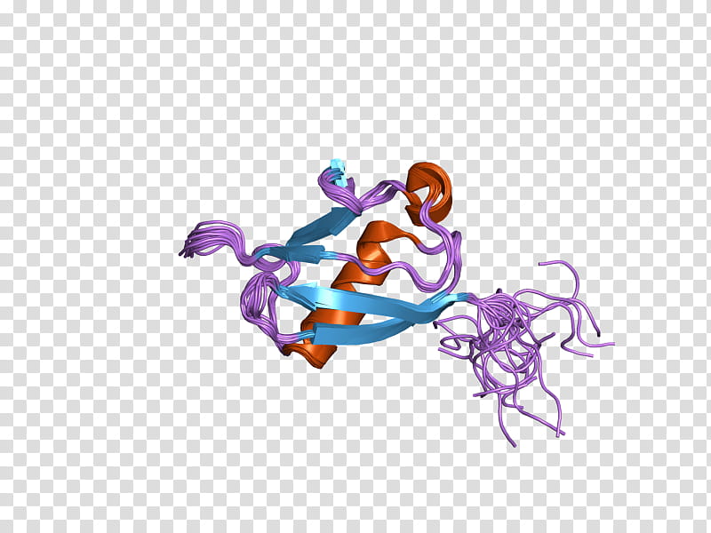 Ubl4a Purple, Protein, Human, Ubiquitin, Gene, Jewellery, Body Jewellery, Ensembl transparent background PNG clipart