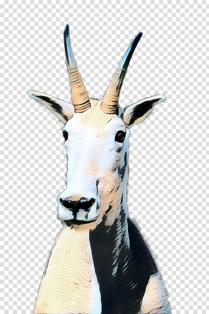 Goat, Springbok, Giraffe, Neck, Snout, Animal, Chamois, Antelope transparent background PNG clipart