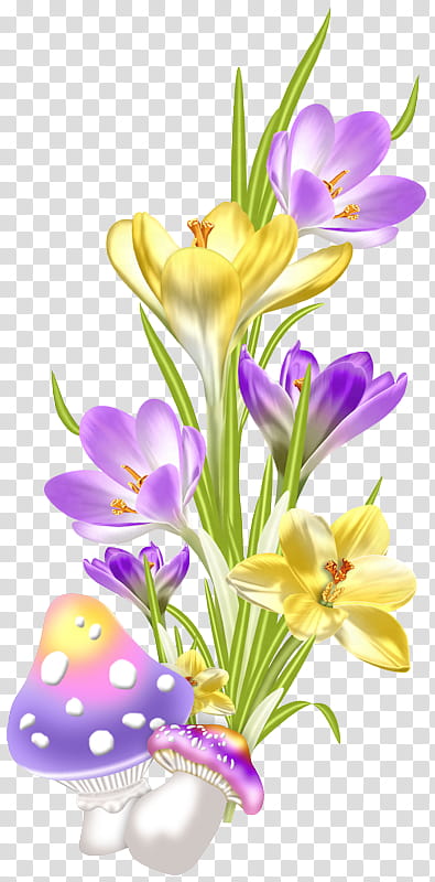 Blue Iris Flower, Floral Design, Cut Flowers, Pants, Flower Bouquet, Purple, Petal, Mauve transparent background PNG clipart