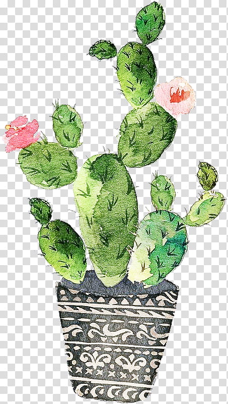 Cactus, Flowerpot, Plant, Barbary Fig, Leaf, Prickly Pear, Houseplant transparent background PNG clipart