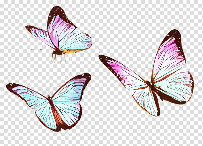 butterfly insect moths and butterflies wing pollinator, Symmetry, Lycaenid, Pieridae transparent background PNG clipart