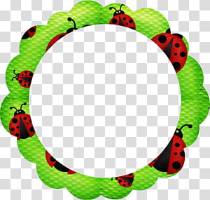 ladybug PNG image transparent image download, size: 256x256px