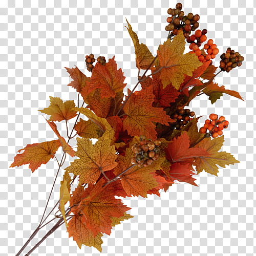 Autumn Leaves Drawing, Action, Rain, Leaf, Kleurplaat, Autumn Leaf Color, Grape Leaves, Bestekbak transparent background PNG clipart