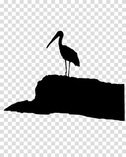 Love Black And White, White Stork, PicsArt Studio, Bird, Beak, Sticker