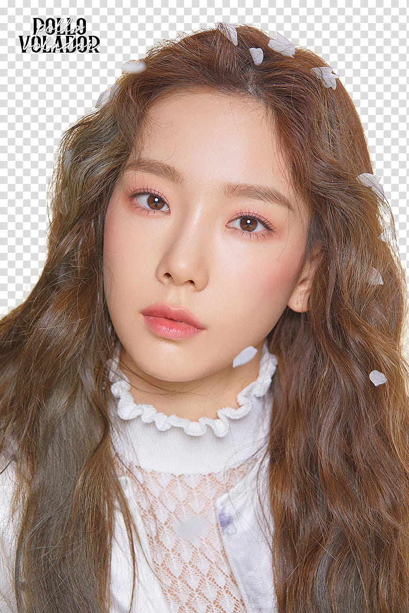 TaeYeon Four Seasons transparent background PNG clipart