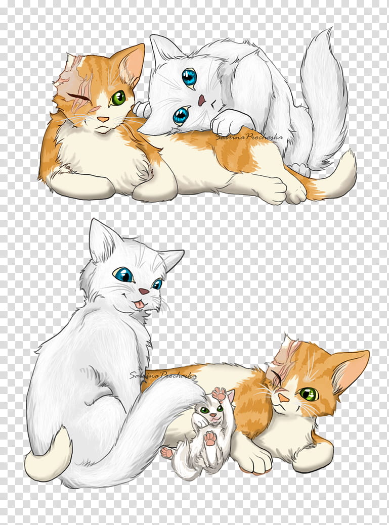 Cloudtail and Brightheart, two white and orange cats cuddling each other transparent background PNG clipart