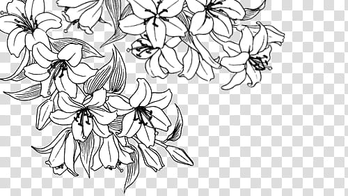 Manga Flowers ColdLove, white flower art transparent background PNG clipart