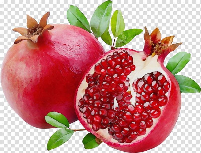 Fruit, Pomegranate, Web Design, Natural Foods, Superfood, Plant, Accessory Fruit, Superfruit transparent background PNG clipart