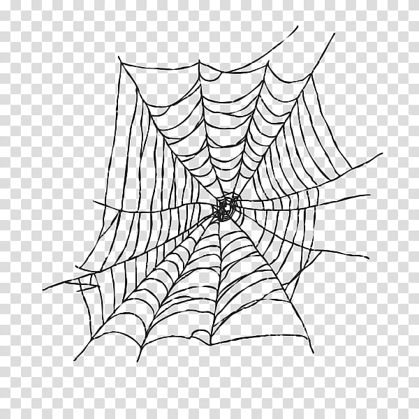 spider web drawing transparent background PNG clipart