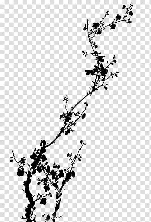 Black And White Flower, Black White M, Point, Line, Leaf, Plant Stem, Line Art, Plants transparent background PNG clipart