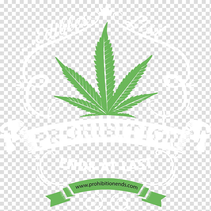 Cannabis Leaf, Cannabidiol, Hemp, Medical Cannabis, Plant, Hemp Family, Grass transparent background PNG clipart