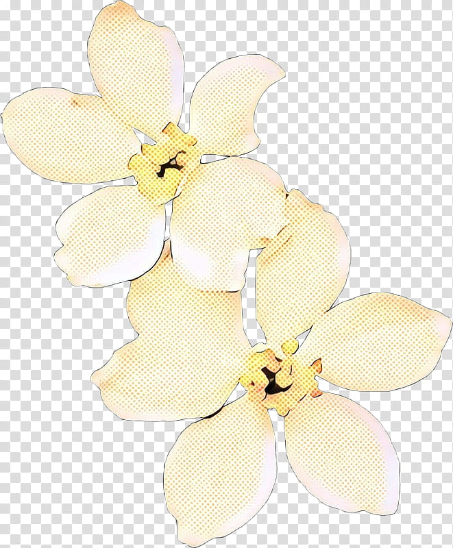 Flowers, Cut Flowers, Hair Tie, Orchids, Moth Orchids, Petal, White, Yellow transparent background PNG clipart
