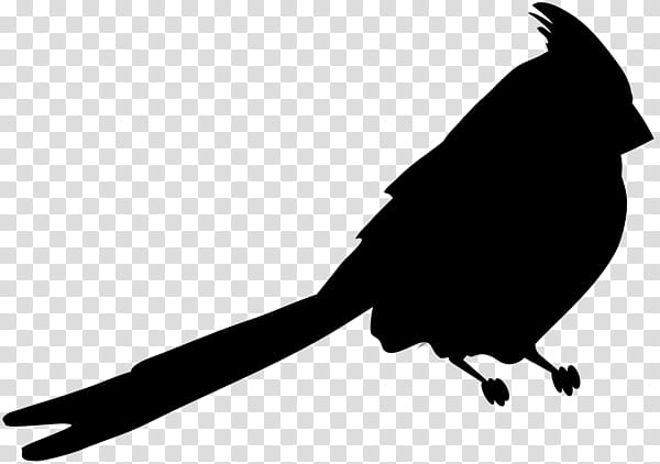 Bird Silhouette, OBITUARY, Beak, Black, Wing, Blackbird, Blackandwhite, Perching Bird transparent background PNG clipart