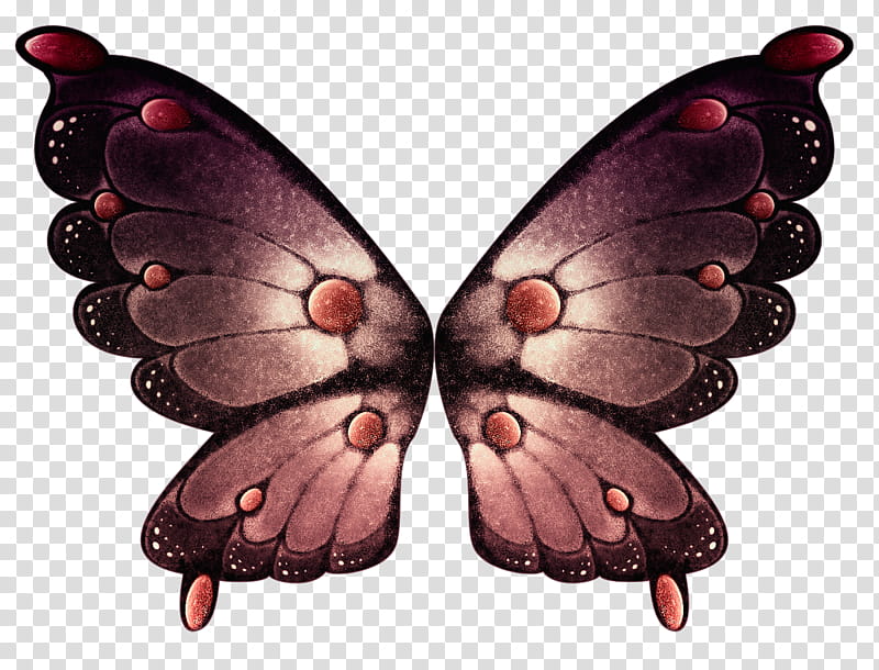 Object Wings , maroon butterfly transparent background PNG clipart