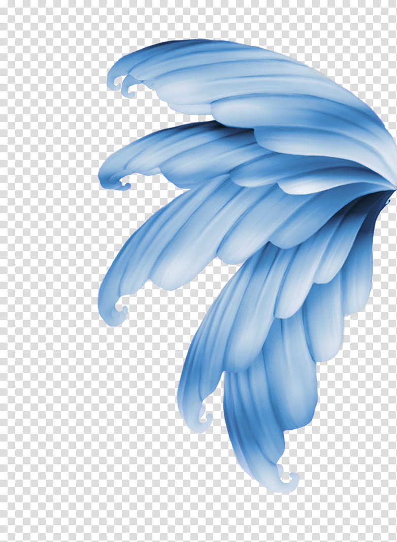 Wings, blue and white wing illustration transparent background PNG clipart