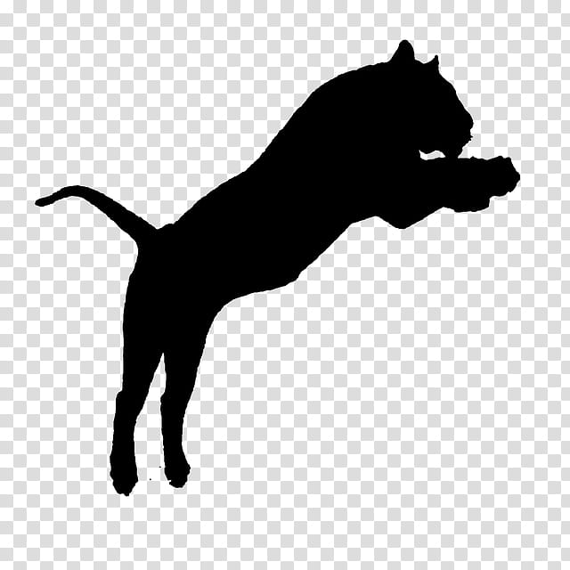 Tiger, White Tiger, Bengal Tiger, Jaguar, Silhouette, Logo, Black, Dog transparent background PNG clipart
