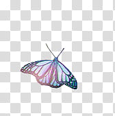blue and black butterfly transparent background PNG clipart