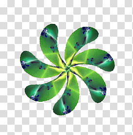 F Flower Head , green and yellow petaled flower transparent background PNG clipart