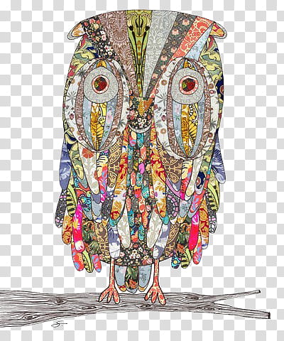 Miscellaneous s, multicolored owl artwork transparent background PNG clipart