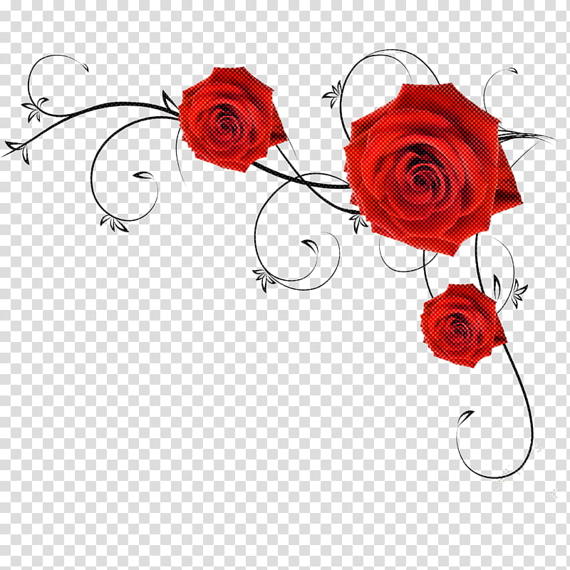 Garden roses, Red, Flower, Rose Family, Cut Flowers, Plant, Rose Order, Floribunda transparent background PNG clipart