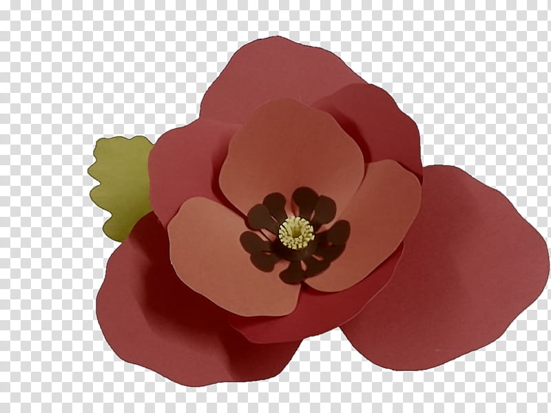 petal red flower pink plant, Brown, Headgear, Fashion Accessory, Poppy Family transparent background PNG clipart
