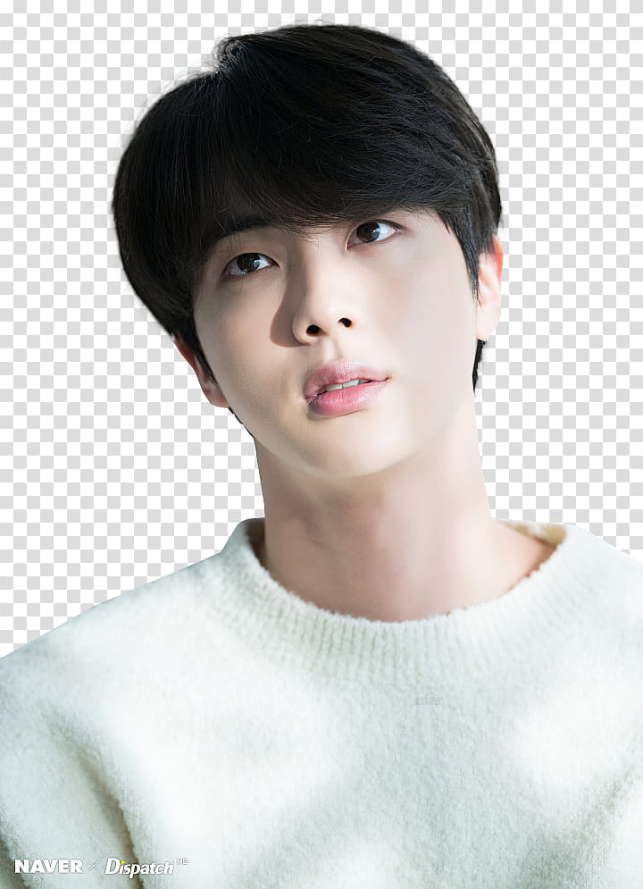 BTS XMAS DISPATCH  transparent background PNG clipart