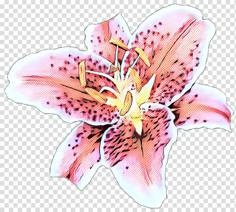 Watercolor Pink Flowers, Pink M, Lily M, Stargazer Lily, Petal, Plant, Tiger Lily, Cut Flowers transparent background PNG clipart