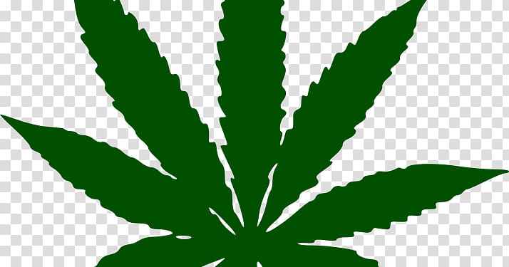 Cannabis Leaf, Cannabis Sativa, Cannabis In Papua New Guinea, Hash Marihuana Hemp Museum In Amsterdam, Medical Cannabis, White Widow, 420 Day, Plant transparent background PNG clipart