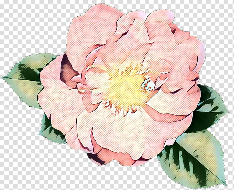 pop art retro vintage, Cabbage Rose, Garden Roses, Cut Flowers, Floral Design, Flower Bouquet, Peony, Petal transparent background PNG clipart