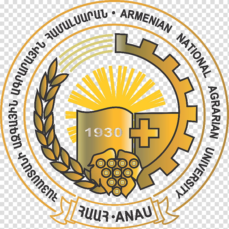 Organization Yellow, Logo, University, Armenia, Armenian Language, Armenians, Text, Area transparent background PNG clipart