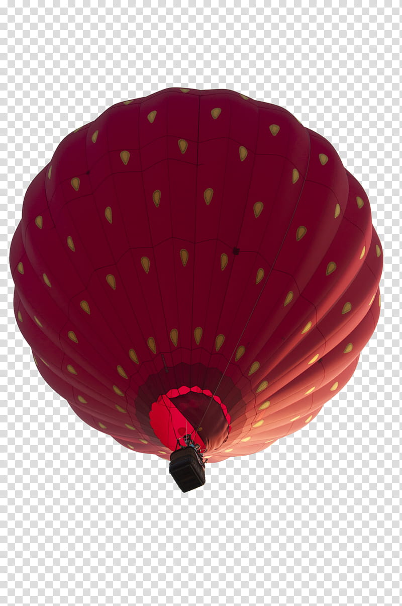 Precute Hot Air Balloons , hot air balloon transparent background PNG clipart